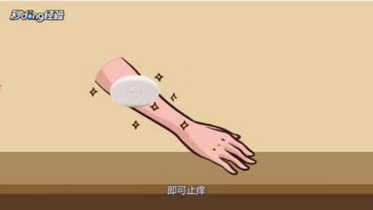 被蚊子咬了怎么消肿止痒最快