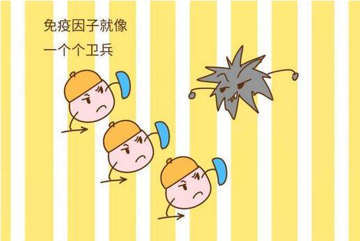 宝宝免疫力低下怎么调理