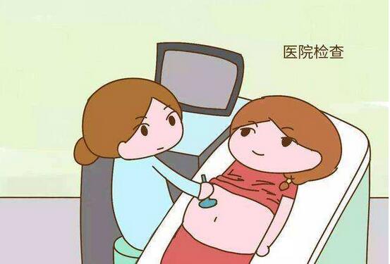 四维彩超的最佳检查时间