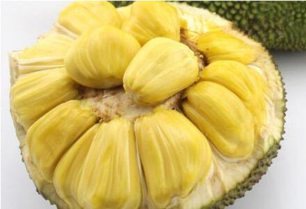 菠萝蜜