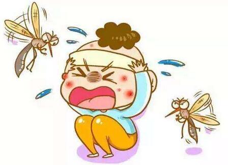 宝宝被蚊虫咬了怎么办