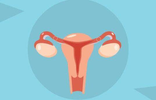 上环前注意事项有哪些