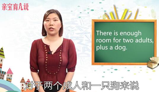 plus是什么意思翻译