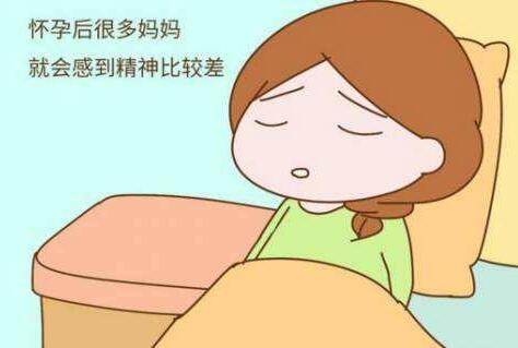 孕妇嗜睡生男生女可信吗