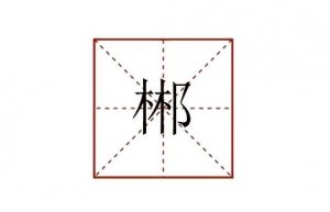 郴怎么读