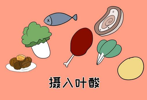 孕妇每月营养食谱大全