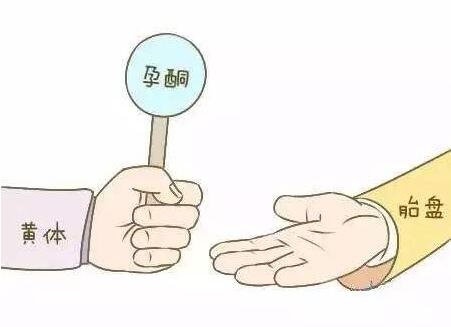 孕酮低于几不建议保胎