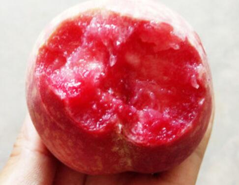 血桃是哪里的特产