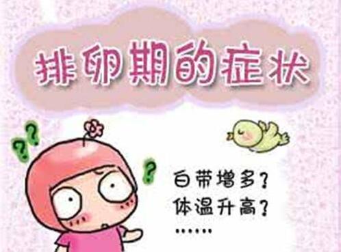 排卵期有什么症状
