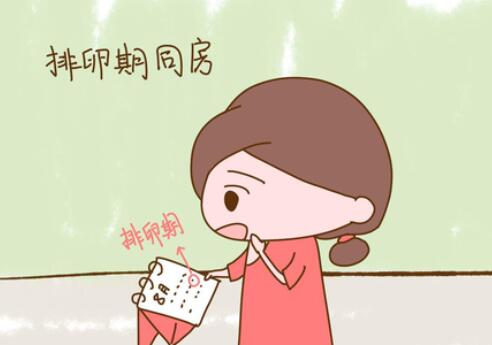 排卵期注意什么