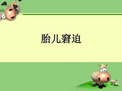 胎儿窘迫的原因有哪些