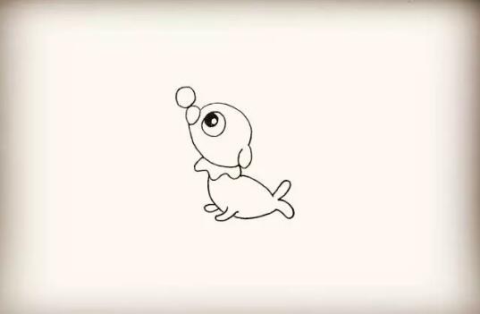海洋生物小海狗简笔画教程图片