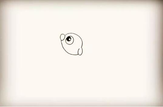 海洋生物小海狗简笔画教程图片