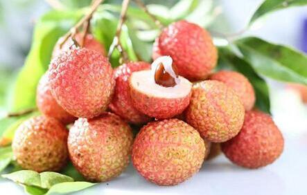 孕妇吃荔枝好吗