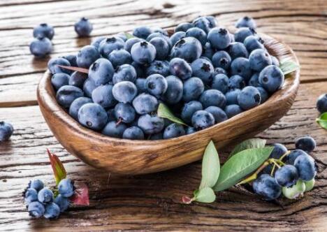蓝莓一天吃多少为宜