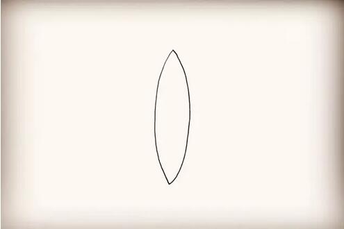 3种破茧成蝶的蝴蝶简笔画教程图片