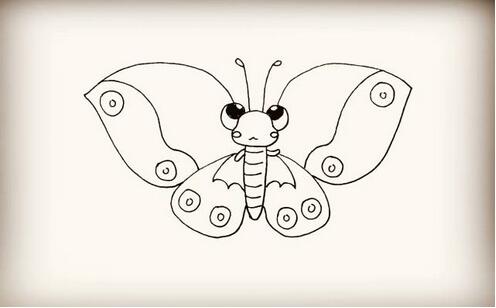 3种破茧成蝶的蝴蝶简笔画教程图片