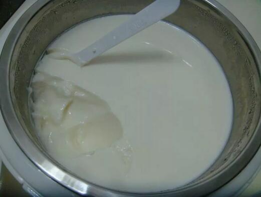 酸奶和乳酸菌饮料的区别