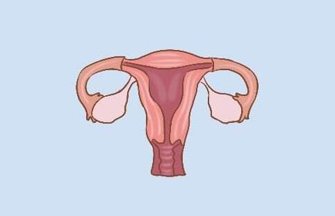 想加快产后子宫恢复