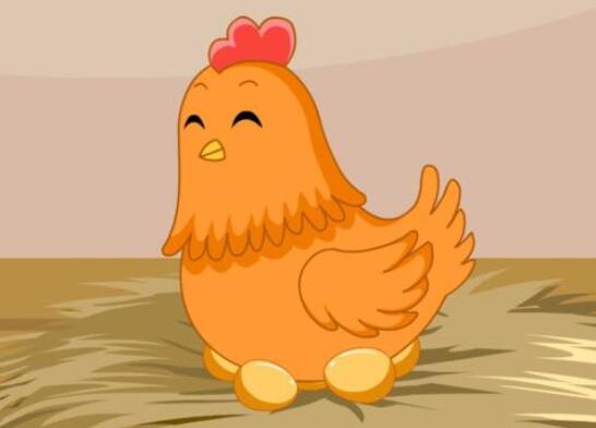 会飞的母鸡作文