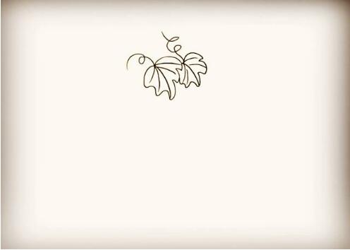 丝瓜简笔画教程图片