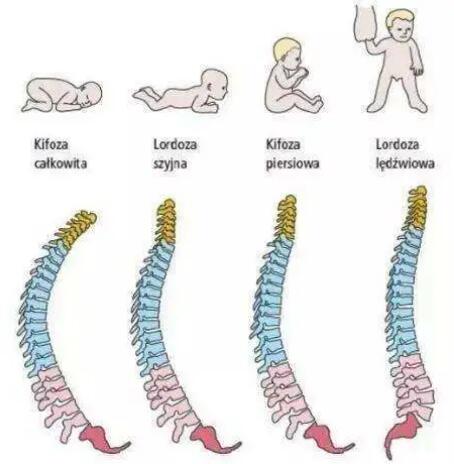 定型枕该不该用？宝宝多大用枕头合适