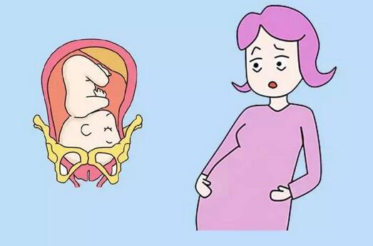 胎儿入盆后多久会生