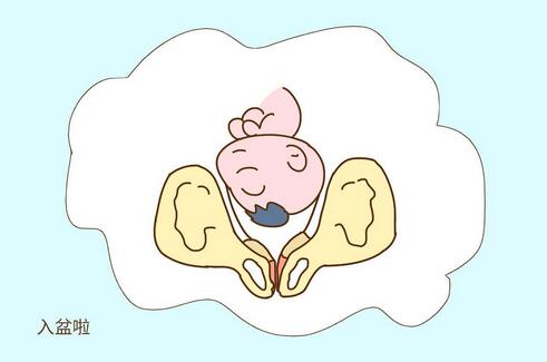 胎儿入盆后多久会生