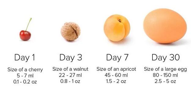 如何开奶，让宝宝吃到最珍贵的初乳？