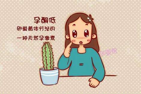 孕酮低会导致胎停吗