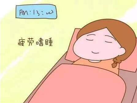 怀孕多久开始嗜睡