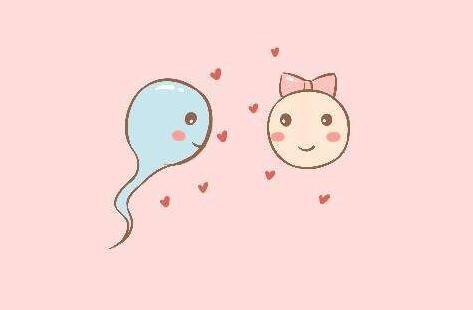 精液可以美容吗