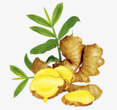 三伏天怎么养生保健