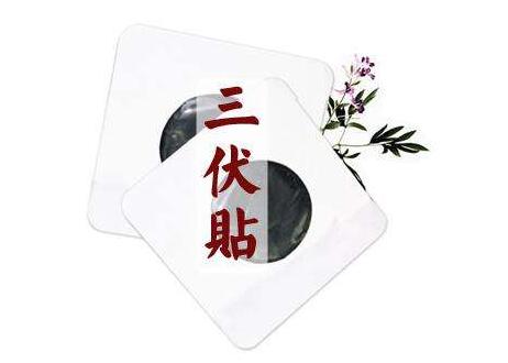 三伏天怎么养生保健