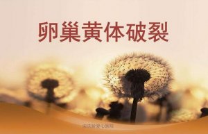 什么是卵巢黄体破裂