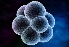 脐带血有必要保存吗