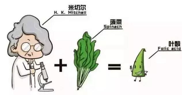 叶酸什么时候吃比较好？吃多少？你吃对了吗？
