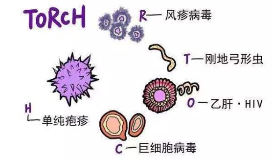 torch检查是抽血吗