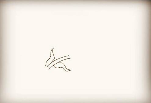 百合花简笔画教程图片