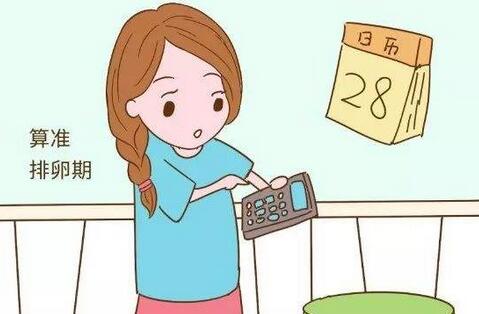 排卵期怎么算