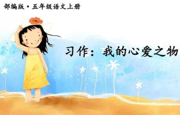 我的心爱之物作文500字