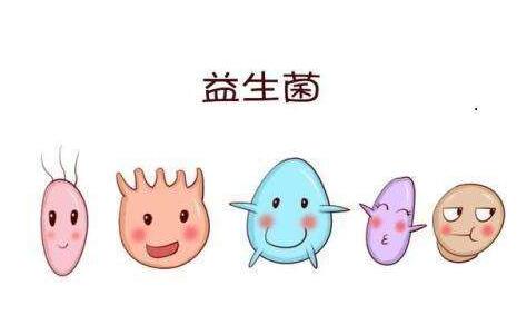 益生菌的作用与功效