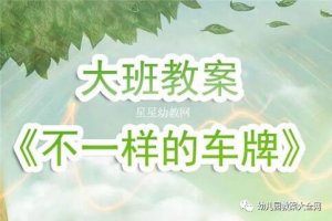 幼儿园大班《不一样的车牌》教案反思