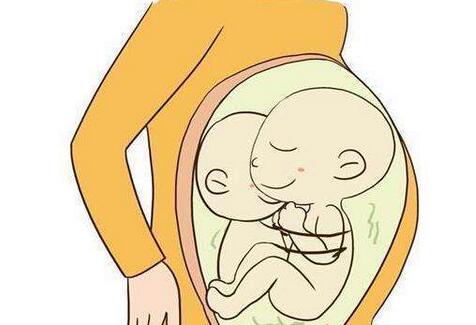 怀孕多久能查出来是不是双胞胎