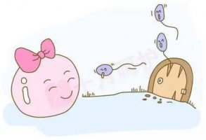 卵子排出后多能存活多久？怎么知道卵子排出来