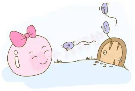 卵子排出后多能存活多久？怎么知道卵子排出来了？