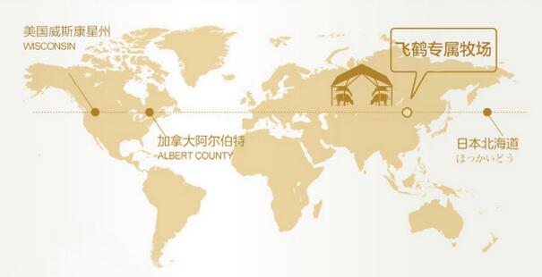 飞鹤奶粉哪个系列最好