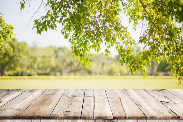 一年中几月份怀孕最好？竟然是有科学依据的