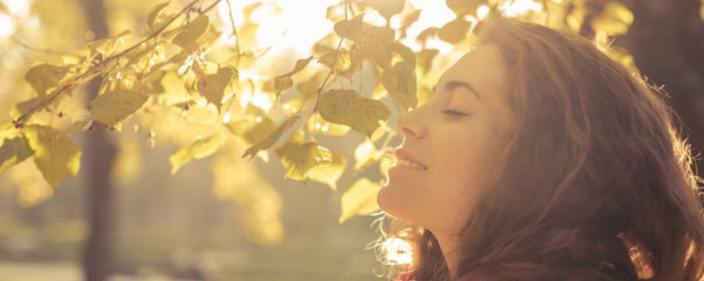 秋季养生吃什么好 秋季养生吃什么食物好 秋季应该吃什么养生