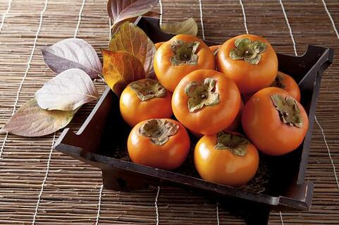 柿子不能和什么食物一起吃